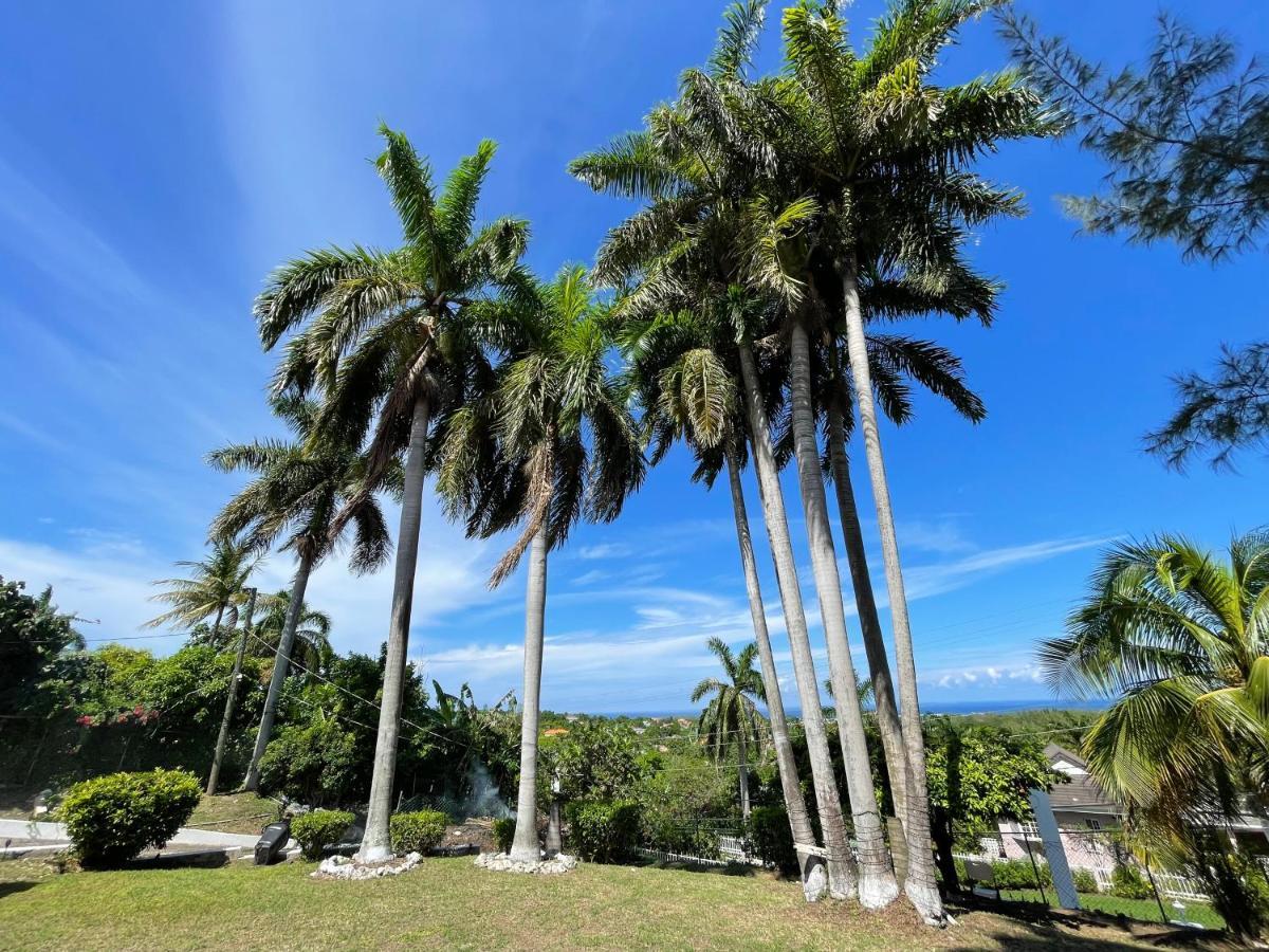 Hotel Peaceful Palms Montego Bay Exterior foto